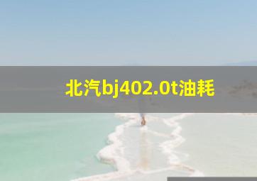 北汽bj402.0t油耗