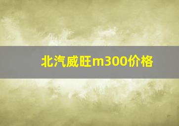 北汽威旺m300价格