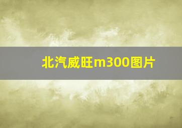 北汽威旺m300图片