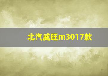 北汽威旺m3017款