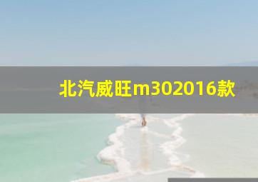 北汽威旺m302016款