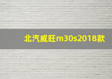 北汽威旺m30s2018款