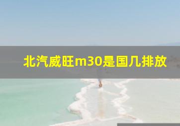 北汽威旺m30是国几排放