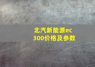 北汽新能源ec300价格及参数