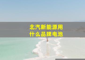 北汽新能源用什么品牌电池