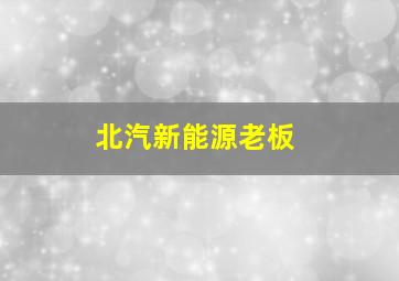 北汽新能源老板