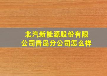 北汽新能源股份有限公司青岛分公司怎么样