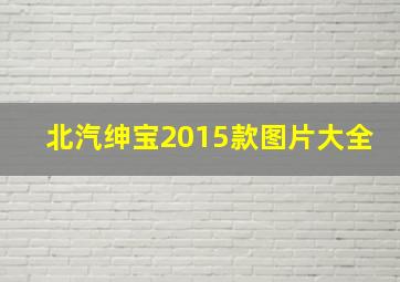 北汽绅宝2015款图片大全