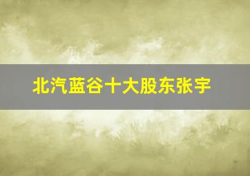 北汽蓝谷十大股东张宇