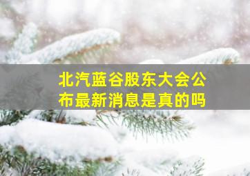 北汽蓝谷股东大会公布最新消息是真的吗