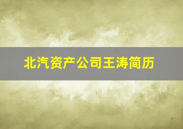 北汽资产公司王涛简历