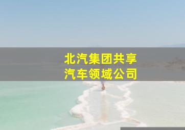 北汽集团共享汽车领域公司