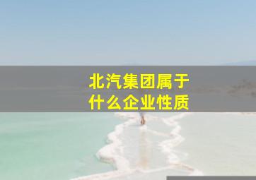 北汽集团属于什么企业性质