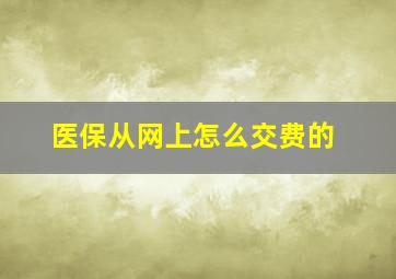 医保从网上怎么交费的