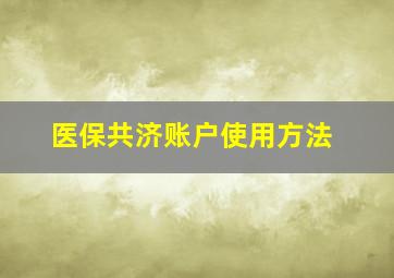 医保共济账户使用方法