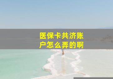 医保卡共济账户怎么弄的啊