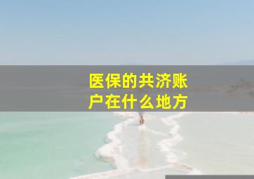 医保的共济账户在什么地方