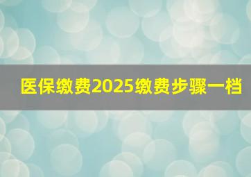 医保缴费2025缴费步骤一档