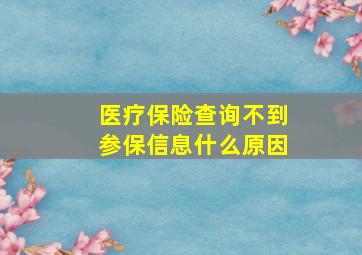 医疗保险查询不到参保信息什么原因