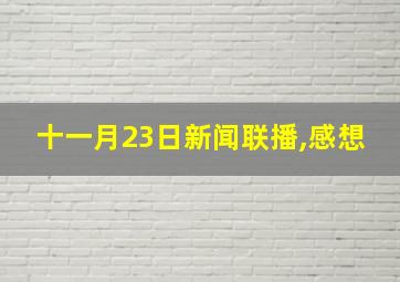 十一月23日新闻联播,感想