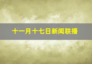 十一月十七日新闻联播