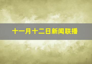 十一月十二日新闻联播