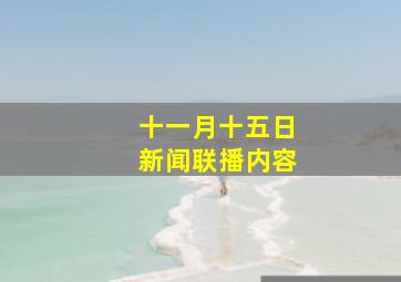 十一月十五日新闻联播内容