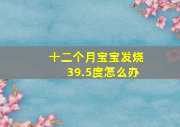 十二个月宝宝发烧39.5度怎么办