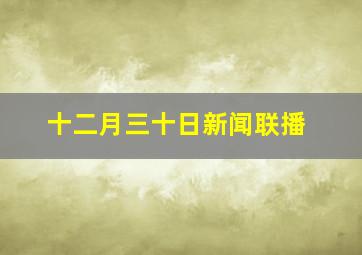 十二月三十日新闻联播