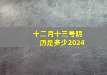 十二月十三号阴历是多少2024