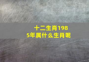 十二生肖1985年属什么生肖呢