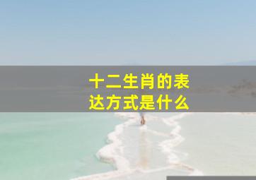 十二生肖的表达方式是什么