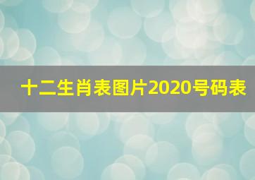 十二生肖表图片2020号码表