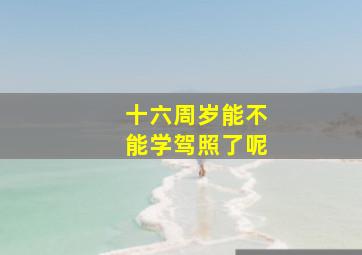 十六周岁能不能学驾照了呢