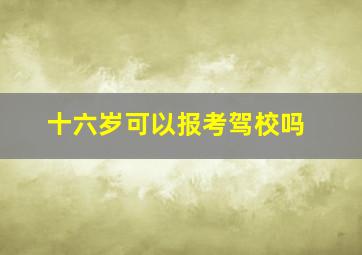 十六岁可以报考驾校吗