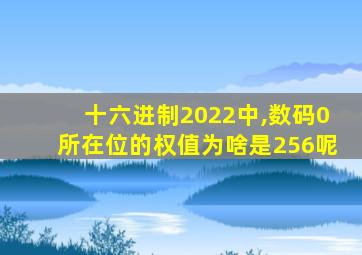 十六进制2022中,数码0所在位的权值为啥是256呢