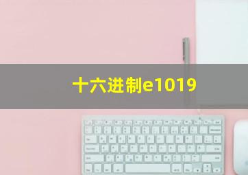 十六进制e1019