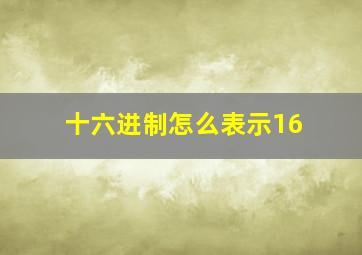 十六进制怎么表示16