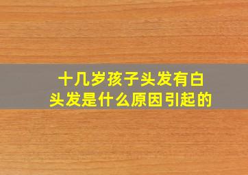 十几岁孩子头发有白头发是什么原因引起的