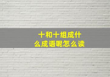 十和十组成什么成语呢怎么读