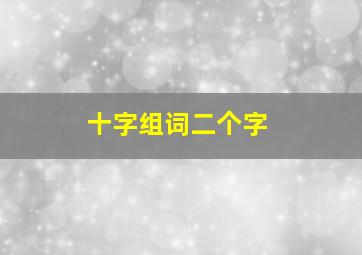 十字组词二个字