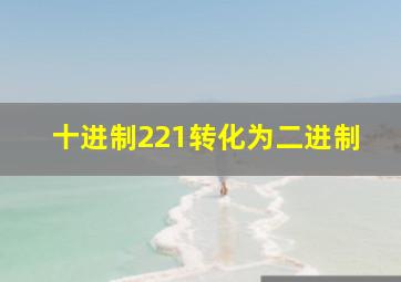 十进制221转化为二进制