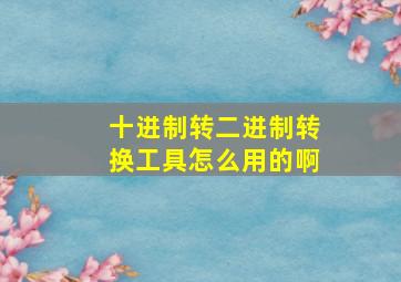 十进制转二进制转换工具怎么用的啊