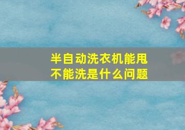 半自动洗衣机能甩不能洗是什么问题