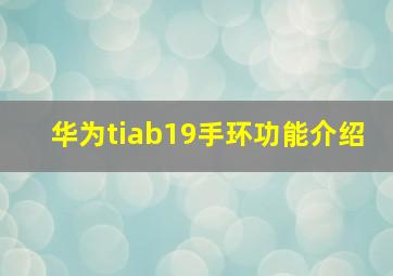 华为tiab19手环功能介绍