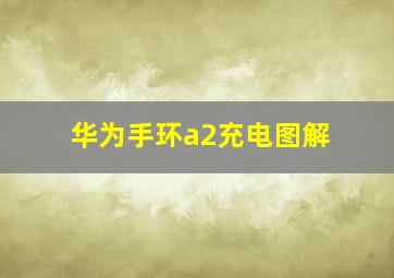 华为手环a2充电图解