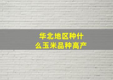 华北地区种什么玉米品种高产