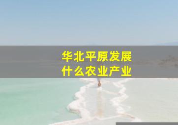 华北平原发展什么农业产业