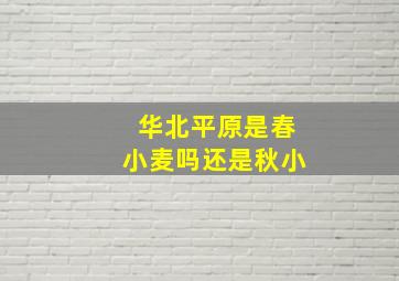 华北平原是春小麦吗还是秋小