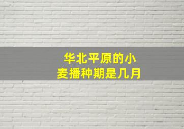 华北平原的小麦播种期是几月